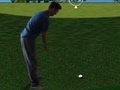 Jogo Flash Golf 3D