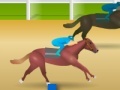 Jogo Jockey Star