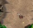 Jogo Battle for Alandria