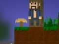 Jogo Minecraft - funny adventures