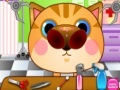 Jogo Doctor Cat Nose