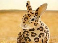 Jogo Spotted rabbit slide puzzle