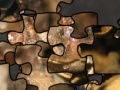 Jogo Puzzle of the American toad