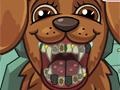 Jogo Pet Crazy Dentist