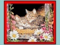 Jogo Art Kittens Jigsaw 2
