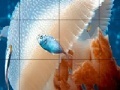 Jogo Mosaic jellyfish slide puzzle