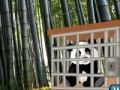 Jogo Wow escape: The tiny panda