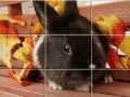 Jogo Puzzles Grey Rabbits