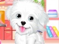Jogo Fluffy puppy pet: Spa and care