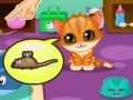 Jogo Kitty Care