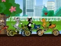 Jogo Toms Bmx Race