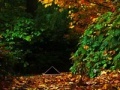 Jogo October escape