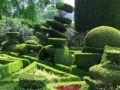 Jogo Hidden Target-Garden