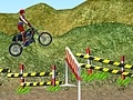 Jogo Motorcycle Rally