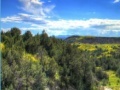 Jogo Theodore Roosevelt national park jigsaw