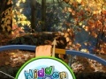 Jogo Hidden Autumn Butterfly