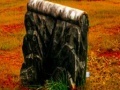 Jogo Fall graveyard escape