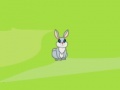 Jogo Rabbit Trap