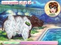 Jogo Hungry Hippo