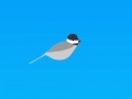 Jogo Trampoline chickadee