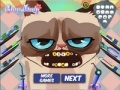 Jogo Grumpy cat. Dental care
