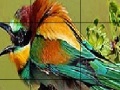 Jogo Two Amazing Bird Puzzle