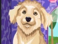Jogo Design Your Doggies Outfit