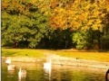 Jogo Jigsaw: Autumn Pond