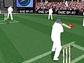 Jogo Cricket
