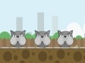 Jogo Crazy cat