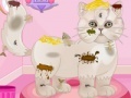 Jogo Persian cat princess spa salon