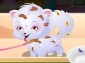 Jogo Baby Hazel Puppy Care