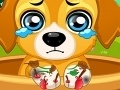 Jogo Paw Doctor