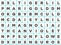 Jogo Word Search