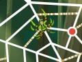 Jogo Wild Kratts: Web-Tastic!