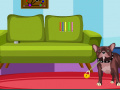 Jogo Dexter Dog Escape