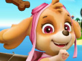 Jogo Collect Cookies 