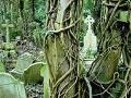 Jogo Highgate Cemetery Escape