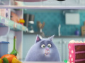 Jogo The Secret Life Of Pets Spot The Numbers