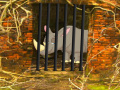 Jogo Rhino Escape
