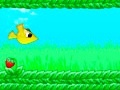 Jogo Bird and Strawberry