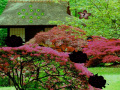 Jogo Seasonal Garden Escape