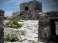 Jogo Mystery of Mayan Stone Escape