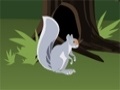 Jogo Squirrel