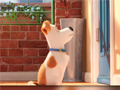 Jogo Hidden Letters in The Secret Life of Pets