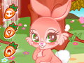 Jogo Cute Bunny