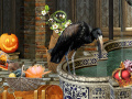 Jogo The Witches Curse