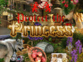 Jogo Protect the Princess