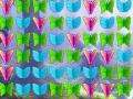 Jogo Butterfly Collector