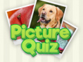 Jogo 100 Pics